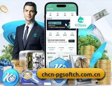 pg APP 深度功能